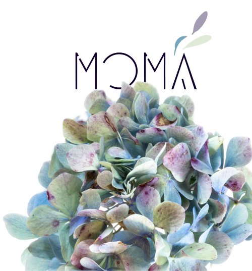 Le Moma