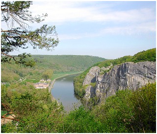 Le Freyr
