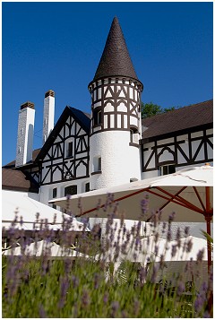 Château du Mylord Les frères Thomaes à Ellezelles