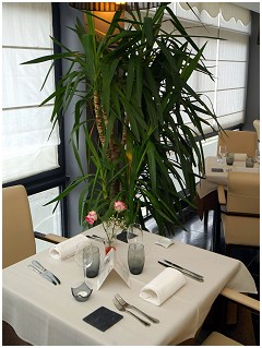 Foto's van restaurant Dynasty Restaurant in Gembloux