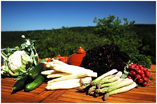 Photos du restaurant Traiteur Eric Massaux Traiteur - Fournisseur de Saveurs à Lustin