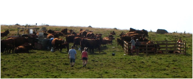 La Petite Ferme