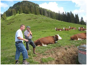 La Petite Ferme