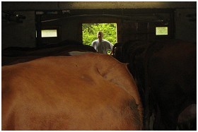 La Petite Ferme