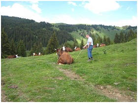 La Petite Ferme