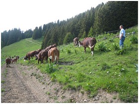 La Petite Ferme