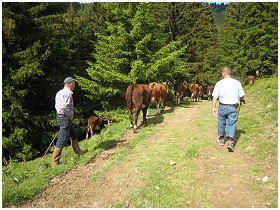 La Petite Ferme