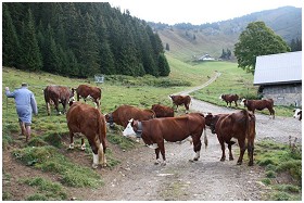 La Petite Ferme